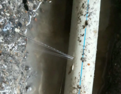 聊城测漏水哪家好